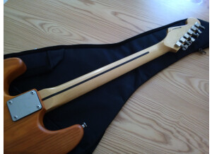 Fender American Standard Stratocaster [2008-2012] (13203)
