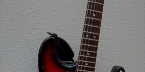Guitare Maybach Custom Shop + flycase + sangle