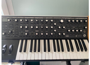 Moog Music Subsequent 37 (37145)