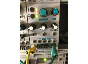 Mutable Instruments Tides (65539)