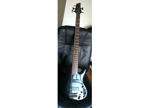 Ibanez EDB605 - Iron Pewter Flat
