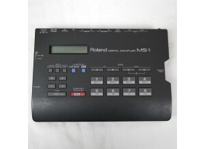 Roland MS-1 (30123)