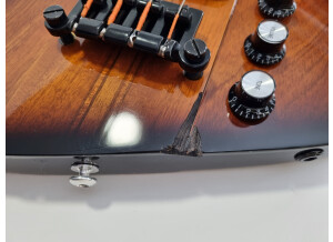 Gibson Thunderbird IV (53101)