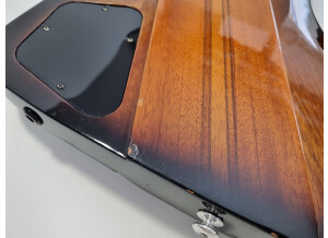 Gibson Thunderbird IV (92565)