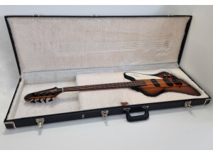 Gibson Thunderbird IV (16713)