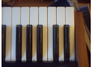 JEN Synthetone SX1000 (44583)