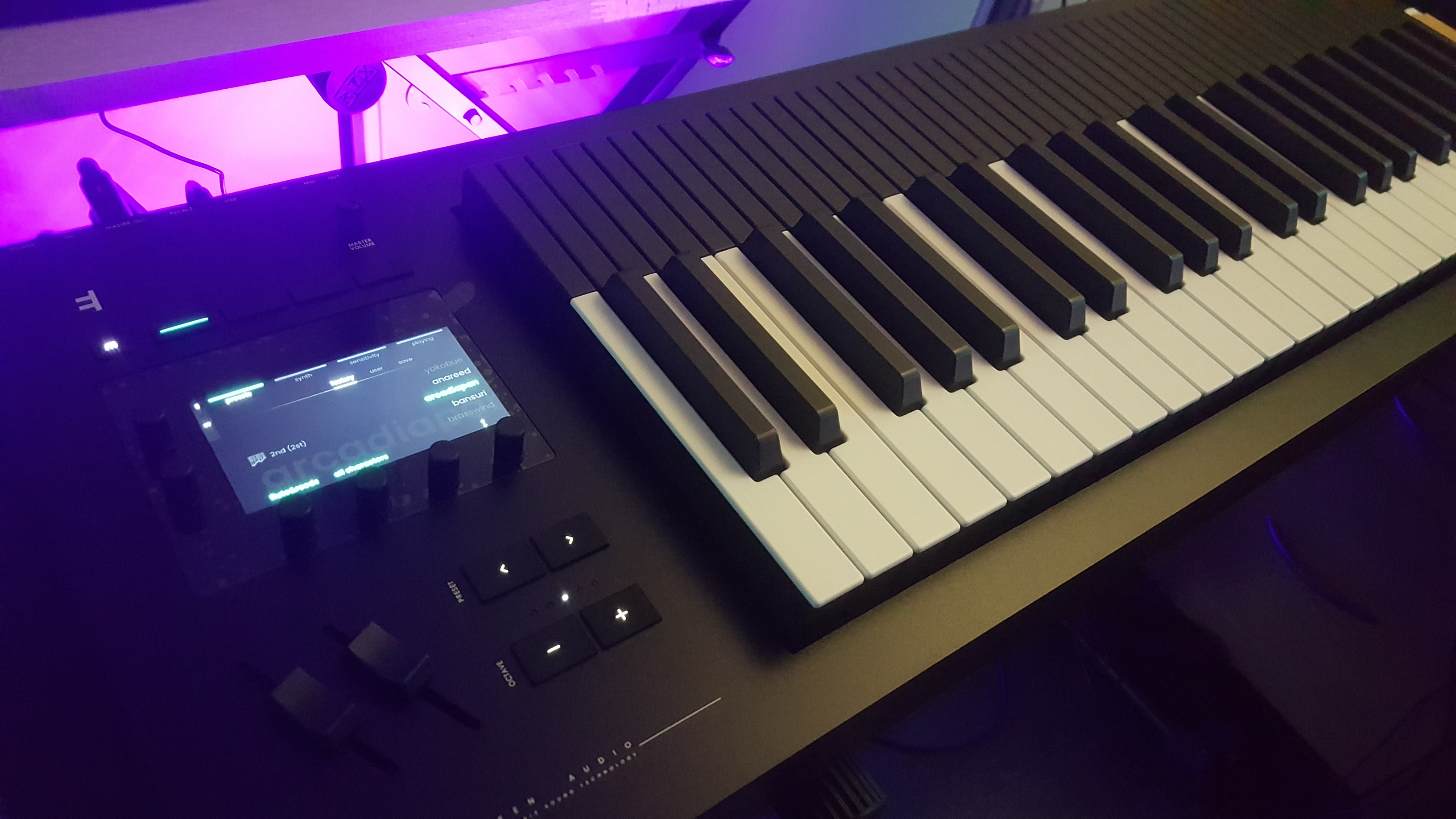 Expressive E Osmose 49