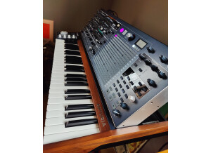 Arturia MatrixBrute (14652)