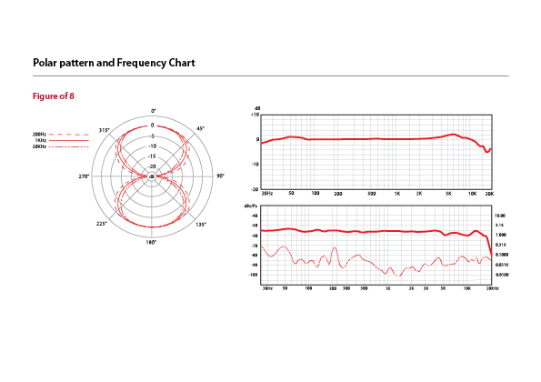 sE Electronics sE X1R