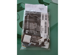 Ibanez GA5TCE (43585)