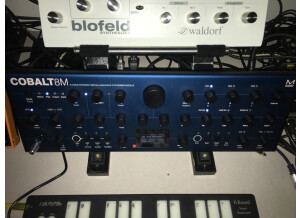 Modal Electronics Cobalt8M (42692)