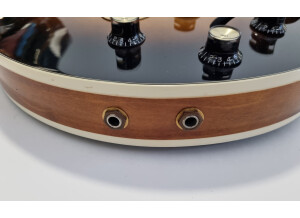 Gibson ES-345 (9952)