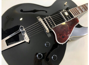 Gibson ES-175 Vintage (9848)