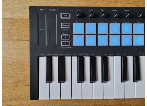 Novation Launchkey Mini mk3 (22906)