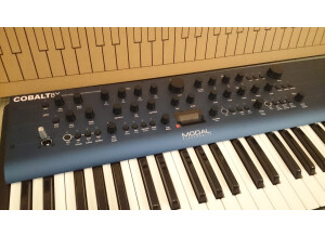 Modal Electronics Cobalt8X (25852)