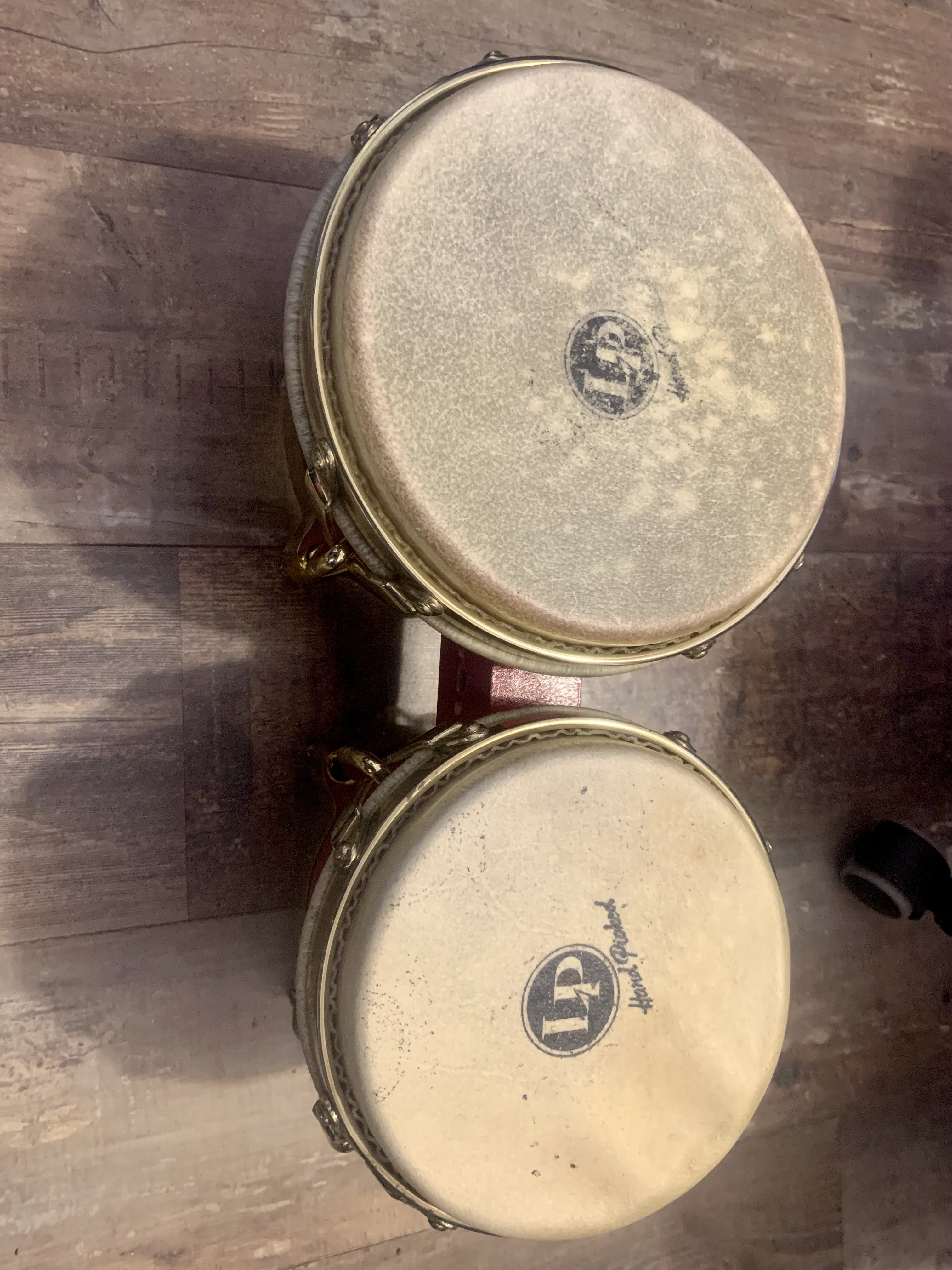 BONGO2