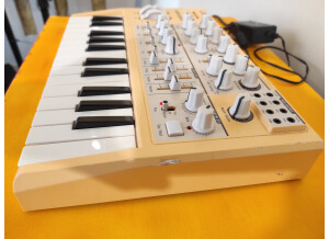 Arturia MicroBrute SE (31415)