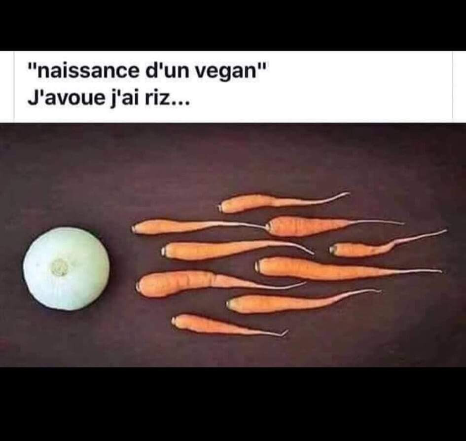 5626180.jpg 5626180.jpg