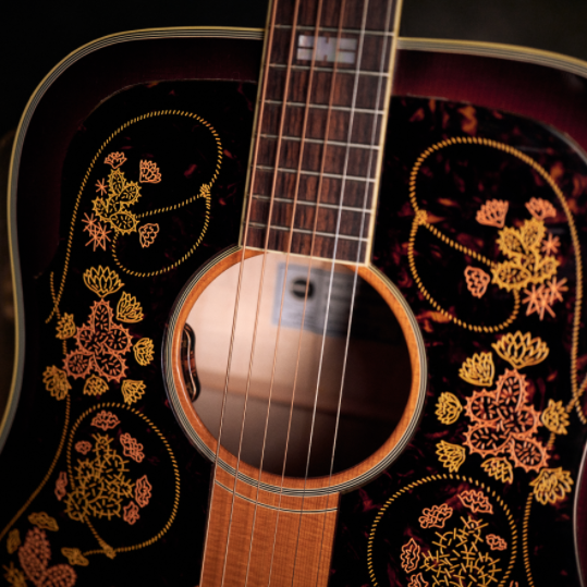 ChrisStapletonFrontierTOPCLOSEUP