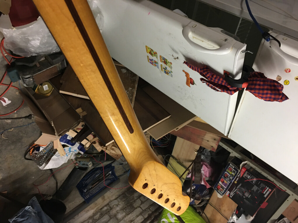 5629248.jpeg 5629248.jpeg