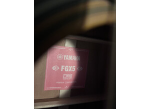 Yamaha FGX5