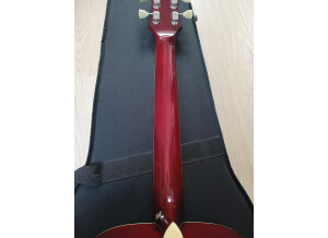 Epiphone Dove Pro (78130)