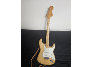 Fender Stratocaster [1965-1984] (47919)