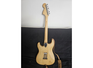 Fender Stratocaster [1965-1984] (87483)