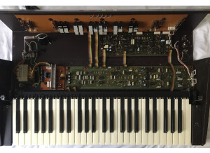 ARP Quartet (88932)