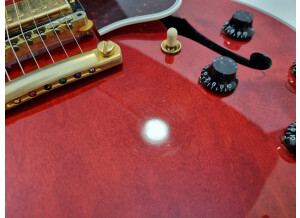 Gibson ES-355 TD (8666)