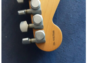 Fender Strat Plus [1987-1999] (37477)