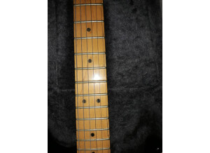 Fender Strat Plus [1987-1999] (21598)