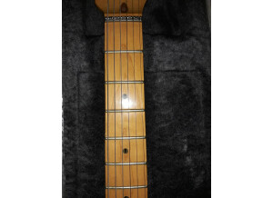 Fender Strat Plus [1987-1999] (29520)