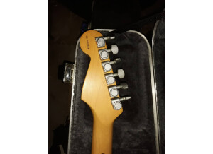 Fender Strat Plus [1987-1999] (28001)