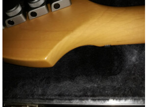 Fender Strat Plus [1987-1999] (60797)