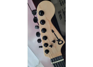 Charvel Pro-Mod DK24 HH HT E