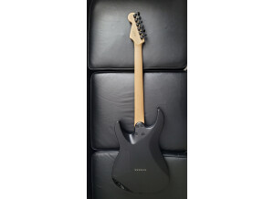Fender Jim Root Stratocaster (54401)