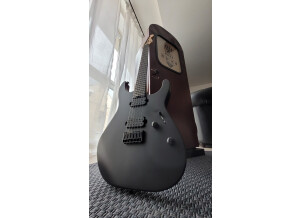 Fender Jim Root Stratocaster (5050)