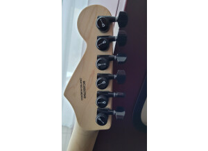 Fender Jim Root Stratocaster (79009)