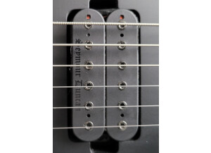 Fender Jim Root Stratocaster (8829)