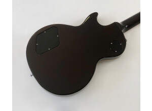 Gibson Slash Les Paul Standard 2008 (55152)