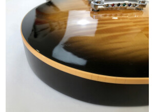 Gibson Slash Les Paul Standard 2008 (74283)