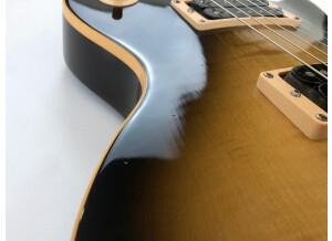 Gibson Slash Les Paul Standard 2008 (77751)