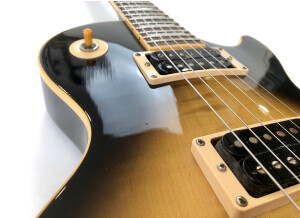 Gibson Slash Les Paul Standard 2008 (35216)