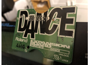 Roland SR-JV80-06 Dance (97923)