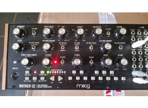 Moog Music Mother 32 (62176)