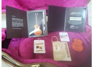 Gibson 1957 Les Paul Goldtop Dark Back VOS (59429)