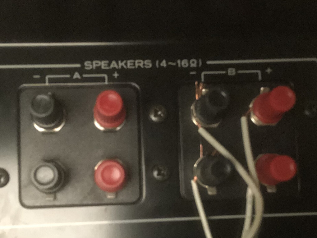 5634180.jpeg 5634180.jpeg