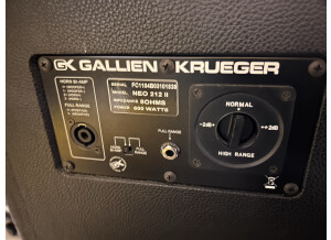 Gallien Krueger Neo 212-II