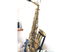 Selmer ALTO SUPER ACTION II (63448)